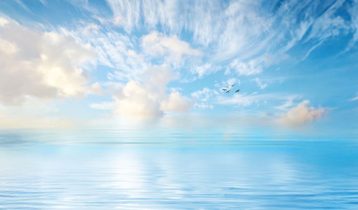 Violence Against Women and Girls