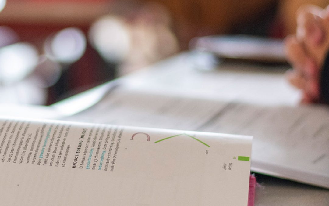 A Greens Guide To Working Full Time as a Family Law Paralegal While Studying Part Time